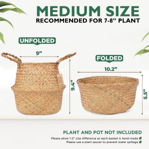 Seagrass Plant Baskets Paju kudottu Boho Plant Home Decor