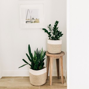 ត្បាញកន្ត្រក Cachepot Rope ute Basket Boho Plant Pot តុបតែងផ្ទះ