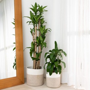 Panier à plantes tissé, Cachepot en corde, panier à plantes Boho, décoration de maison