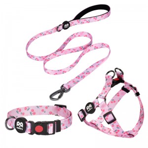 Slàn-reic Custom Durable Pet Harness Leash Set