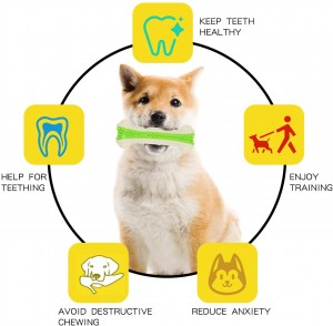 Nylonová guma ve tvaru kostí a zubů pro výcvik psů žvýkací hračky