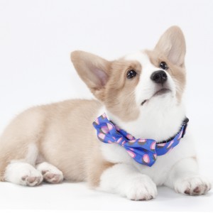 Customized Strawberry Prints Personalized Dog Collar Set