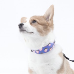 Nahiangay nga Strawberry Prints Personalized Dog Collar Set