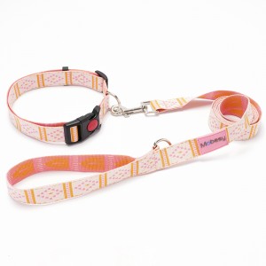Set Leash Collar Walking Dog Adjustable Durable