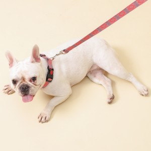 Set Leash Collar Walking Dog Adjustable Durable
