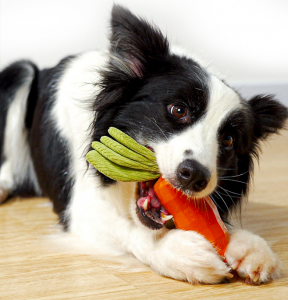 צעצועי לעיסת כלבים לניקוי שיניים בצורת גזר עמיד