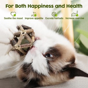 High Quality Natural Solid Wood Cage Balls Catnip Toys for Cat