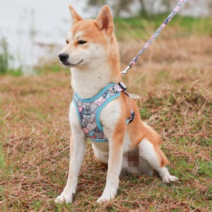Personalized Soft Dog Walking Harness Leash Set