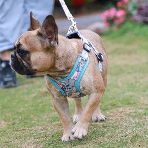 Personalized Soft Dog Walking Harness Leash Set