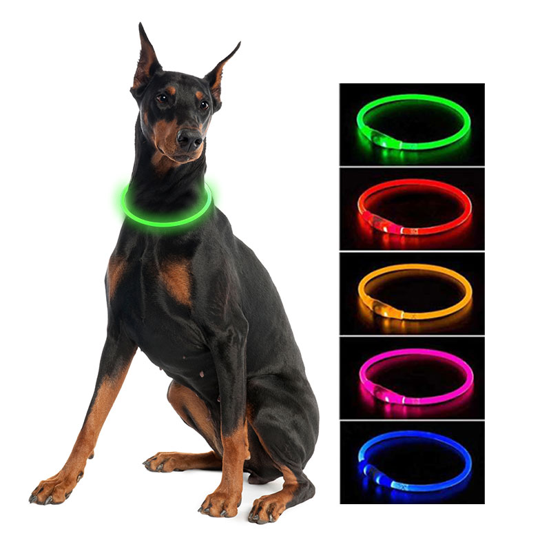 USB Charging Night Safety που αναβοσβήνει λαμπερό κολάρο σκύλου