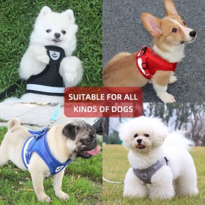 Wholesale Duorsume reflektive Dog Harness Leash Set