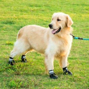 Venkovní protiskluzové prodyšné reflexní boty pro psy