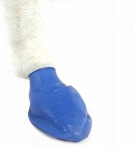 လက်ကား Non Slip Waterproof Balloon Pet Boots Socks