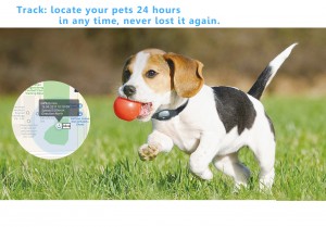 Outdoor Echtzäit GPS Locator Pet Collar Tracker
