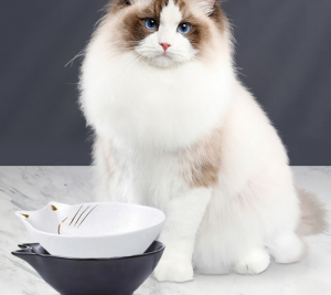 Tasat e ushqimit për veshët e maceve me shumicë me porosi qeramike