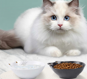 Tazones de comida de oreja de gato de cerámica personalizados al por mayor