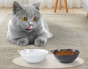 තොග අභිරුචි සෙරමික් Cat Ear Food Bowls