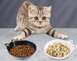Tazones de comida de oreja de gato de cerámica personalizados al por mayor
