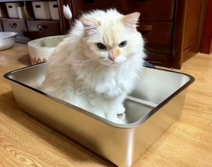 Ùn assorbe mai l'odore Cat XL Litter Box in acciaio inox