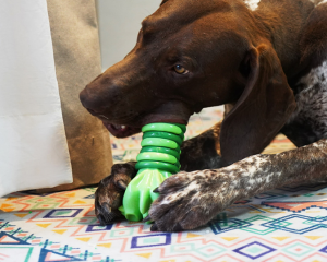 სახალისო ნიანგის თავის ფორმის მოლარის კბილების წმენდა ძაღლის საღეჭი სათამაშო