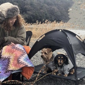 Camas para perros desmontables para acampar al aire libre con dosel