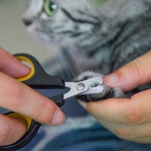 -- Diver Pet Nail Claw Trimmer