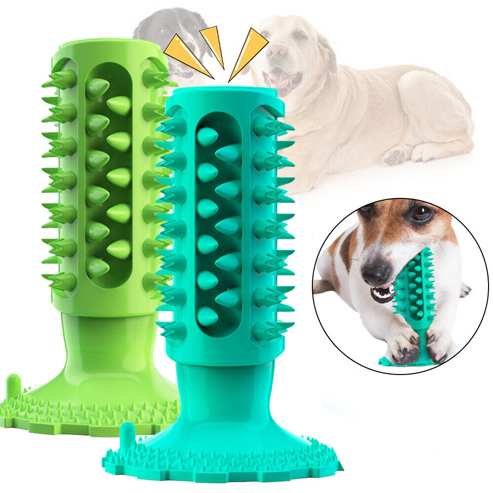 Osunwon Serrated Molar Dog Toothbrush Squeaky Toy with Sucker