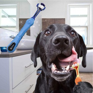 فرشاة أسنان للحيوانات الأليفة من السيليكون بثلاثة جوانب متعددة الزوايا