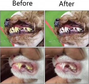 Spazzola da denti per animali domestici in silicone à trè lati