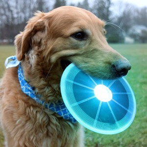 Venkovní LED svítící interaktivní psí létající disk