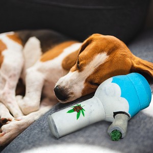 Pritaikytas juokingas virdulio formos girgždantis pliušinis šunų kramtomasis žaislas
