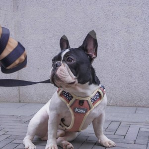 Издръжлива отразяваща регулируема жилетка за кучета