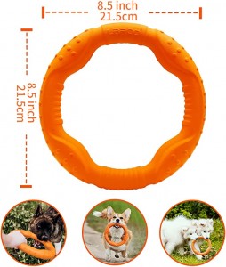 Lauke skraidančių diskų interaktyvus dresavimo žiedas šunims
