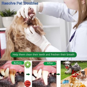 Vastupidavad kummist hambad puhastavad lekketoiduga koeramänguasjad