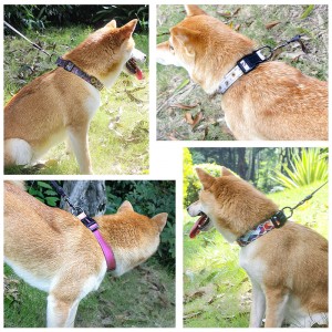 ສ່ວນບຸກຄົນ Nylon Adjustable Reflective Pet Collar