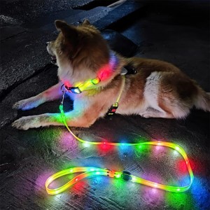Ensemble de laisse et de collier pour chien lumineux à LED rechargeable par USB