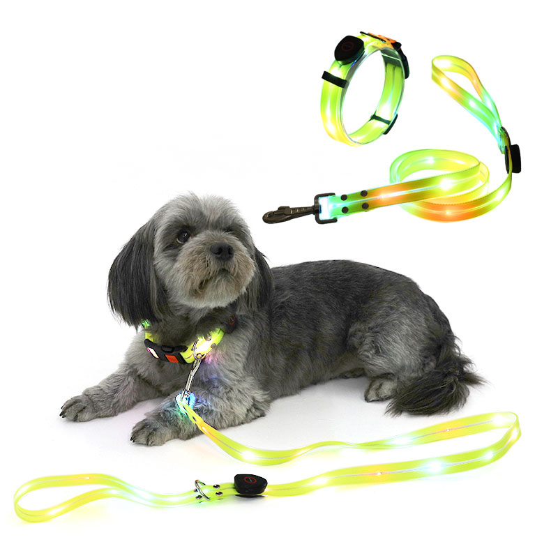 USB oplaadbare led-verlichte hondenriem en halsbandset