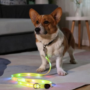 Conxunto de correa e colar para cans con luz LED recargable por USB