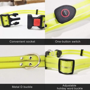 Usb Rechargeable Led Light Up Dog Leash ແລະ Collar Set