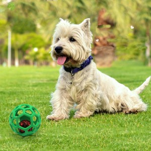 Hot Sale Interactive TPR Dog ṣofo Ball Toys Pẹlu Bell