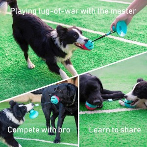 TPR Puzzle Treat Piłki dozujące karmę Zabawka dla psa dla agresywnych żujących