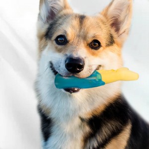 Велепродајне играчке за хлађење за жвакање за псе за чишћење зуба ТПР