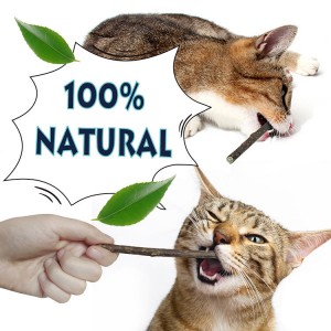 ថ្នាំដុសធ្មេញធម្មជាតិ Catnip Molar Stick Cat Chew Toys