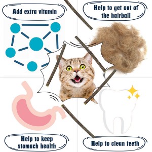 ຢາຖູແຂ້ວ Catnip Molar ທໍາມະຊາດ Stick Cat Chew Toys