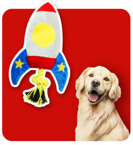 Airplane Rocket Shape Interactive Squeaky Plush Dog Chew Toy