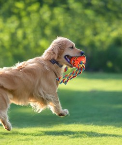 Фабрична топка за играчка на едро, устойчива на ухапване за въже за кучета