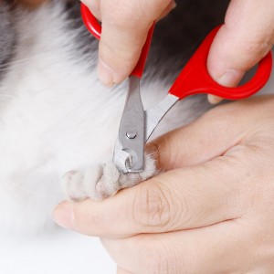 Pachet blister pentru tăietor de unghii pentru pisici din oțel aliat