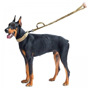Luar Retractable Taktis Dog Pelatihan Bungee Leash