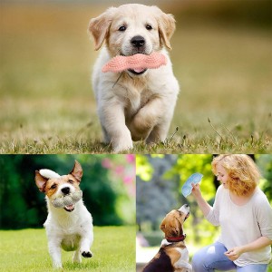 Paquete de 3 juguetes interactivos duraderos para perros con guisante TPR y limpieza de dientes