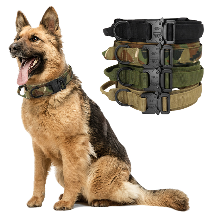 Heavy Duty Buckle Nylon Taktyske Training Pet Collar